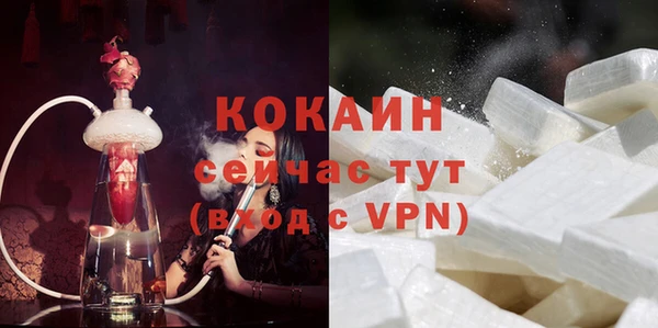гашик Белокуриха