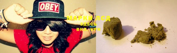 гашик Белокуриха