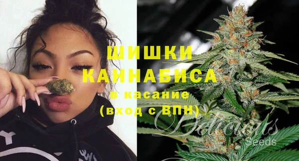 гашик Белокуриха